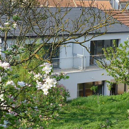 Pod Kralicim Vrchem Appartement Milovice  Buitenkant foto