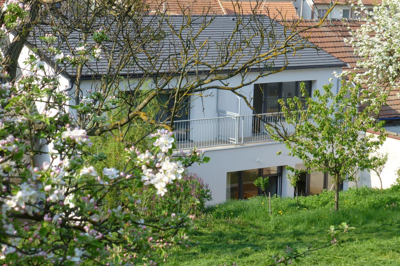 Pod Kralicim Vrchem Appartement Milovice  Buitenkant foto